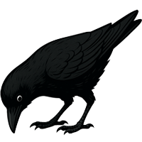 raven